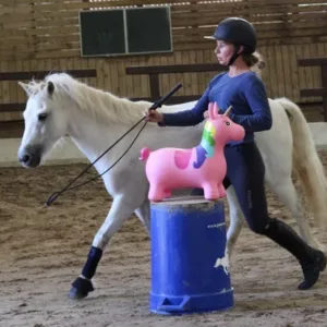 Margot Daloz - Monitrice d’équitation, poney-club, coach concours poneys, equifeel, ouverture aux nouvelles disciplines